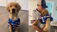 Couple From New York Adopt Calmest Puppy In The Litter But What Unfolded At Home Told A Different Story