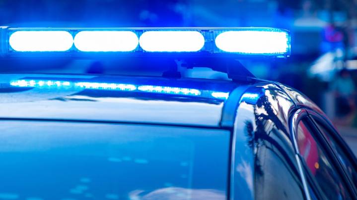 Juveniles charged in armed robbery at Belmont shopping center