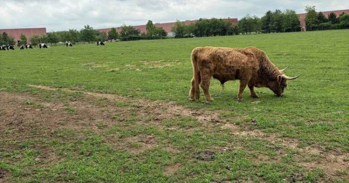 New Jersey Farm Spared From Eminent Domain