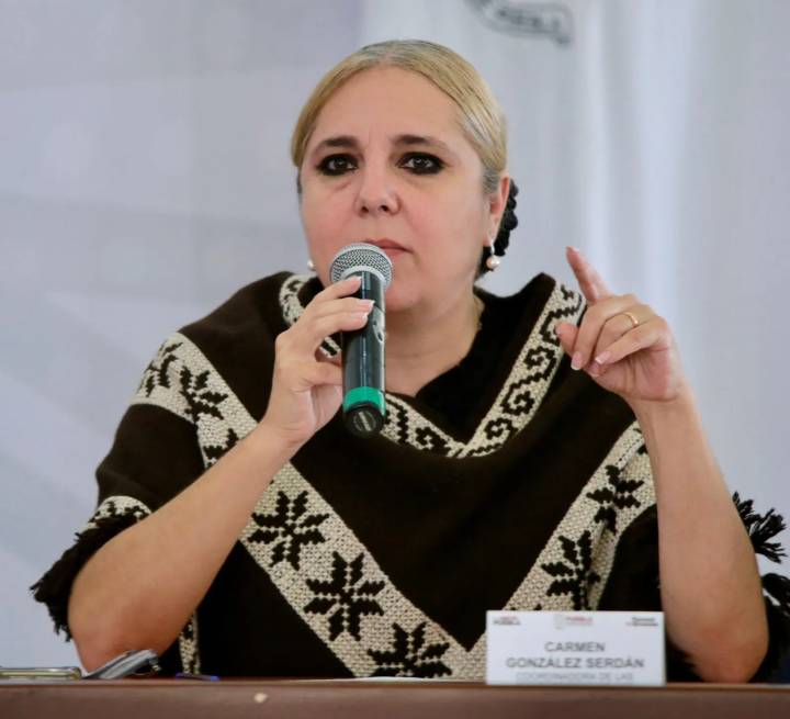 Apoyo emocional en la Sierra Norte: Centros LIBRE–Casas Carmen Serdán en acción