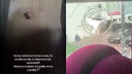 El potente mensaje y el video que subió figura de Lanús luego que hinchas de la U atacaran el bus del equipo argentino El bus que llevaba al equipo argentino al estadio fue apedreado.