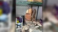 Wall smashed as Deep Ellum bakery burglar bypasses alarm to snatch safe