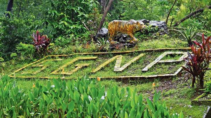 Extensive camera trap study to be carried out between city, Goa