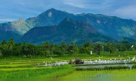 Kerala to focus on health and spiritual travellers with 20% increase in tourism budget