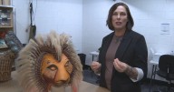 How do the puppets in Disney's The Lion King work? Colorado native and puppet assistant explains