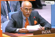 'Jammu and Kashmir always an integral and inalienable part of India:' India at UNSC lashes out at Pakistan, calls for an end to...