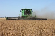 La pausa en los aranceles agrícolas de Milei dispara récord histórico de exportaciones y genera tensiones en el sector