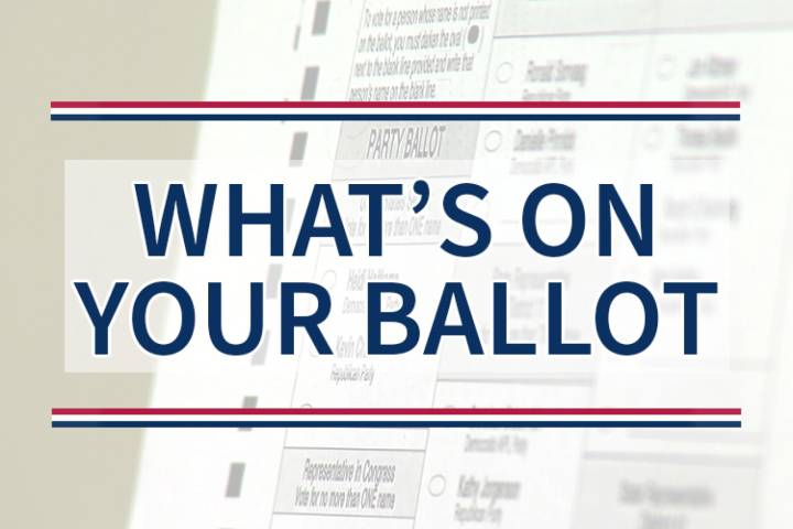Voters in Alexandria, Minnewaska and Parkers Prairie will answer ballot questions in Nov. 4 election