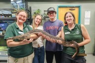 Artist visits Denver Zoo ahead of concert at Red Rocks