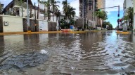 Caen árboles y postes en Mazatlán por la fuerte lluvia de la madrugada; suspenden clases