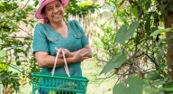 Día Internacional de la Mujer Rural: este es su real impacto en Colombia