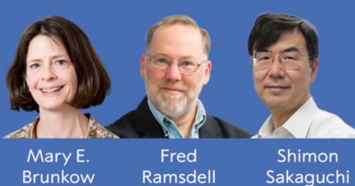 Nobel de Medicina 2025: Premian a científicos de EU y Japón por revelar cómo se regula el sistema inmune