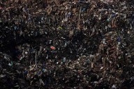 The food you toss costs you plenty and emits tons of pollution. We've got tips on how to cut down