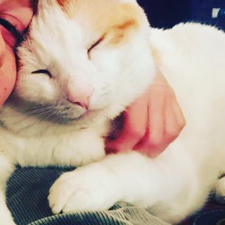 I Am Sober, and I’m the Crazy Cat Lady