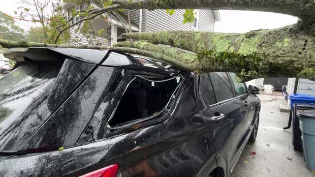 SUV crushed by tree in Milton driveway