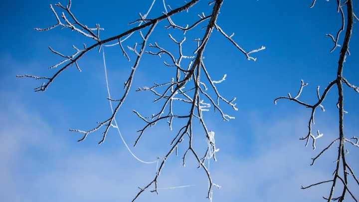 When is the first frost in Iowa? Here are the historical trends.