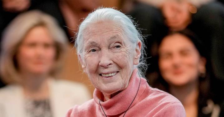 Jane Goodall, world-renowned primatologist, dies at 91