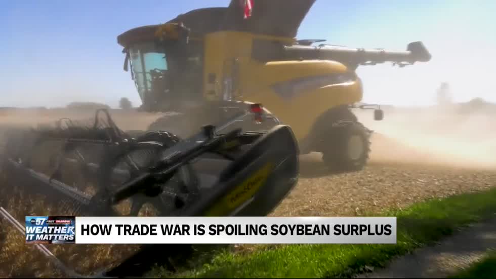 'The clock is ticking,' Michiana farmers might see soybean surplus spoiled by Trade War