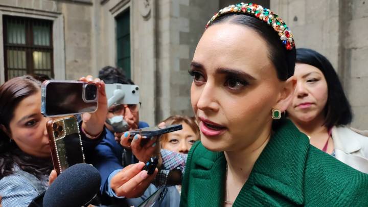 Vienen más inversiones para México: Altagracia Gómez Sierra
