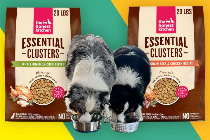 Dog food review: The Honest Kitchen Essential Clusters