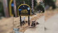 California Woman Finds Dog Tied To A Park Sign With A Heartbreaking Note