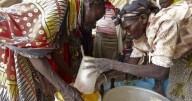 Acabar con el hambre para 2030 es un objetivo cada vez más inalcanzable