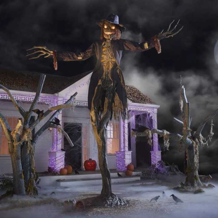 This Halloween, be prepared to get scared