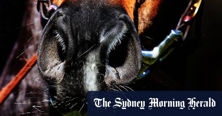 Race-by-race preview and tips for Coonamble on Sunday