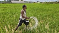 Editorial. Fertilizer imbalance