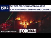Cat dies, firefighter, civilian injured in massive Southgate fire