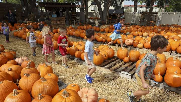 Tampa had its driest September ever. Is rain on the horizon?