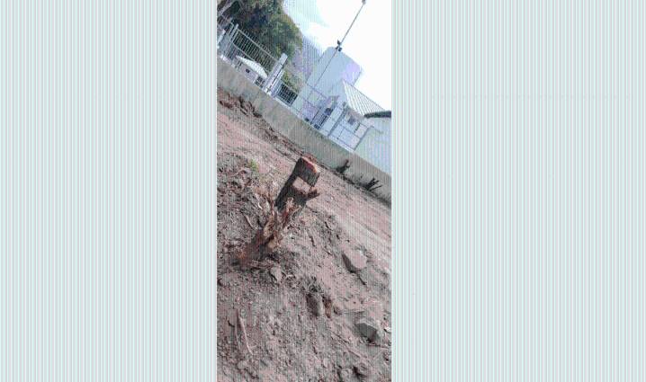 Daño ambiental en El Ceibo