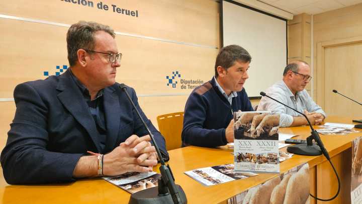 Mora de Rubielos celebra el próximo fin de semana una nueva edición de las ferias ganadera e industrial