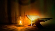 Crucial Importance of the Rights of Men