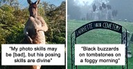 50 Times People Failed At Photographing Wildlife So Hilariously, They Just Had To Share These Pics Online (New Pics)