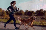 Invitan a Saltillo a Caminata Canina en la Ruta Recreativa   