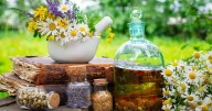 Plantas Medicinales un conocimiento ancestral que se mantiene de generación en generación: ¿Cuáles son las más comunes y sus usos?