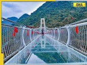 India's first 132-meter cable glass bridge worth Rs 700000000 to open for public