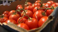 Texas SNAP benefits for November at risk if government shutdown continues past Monday