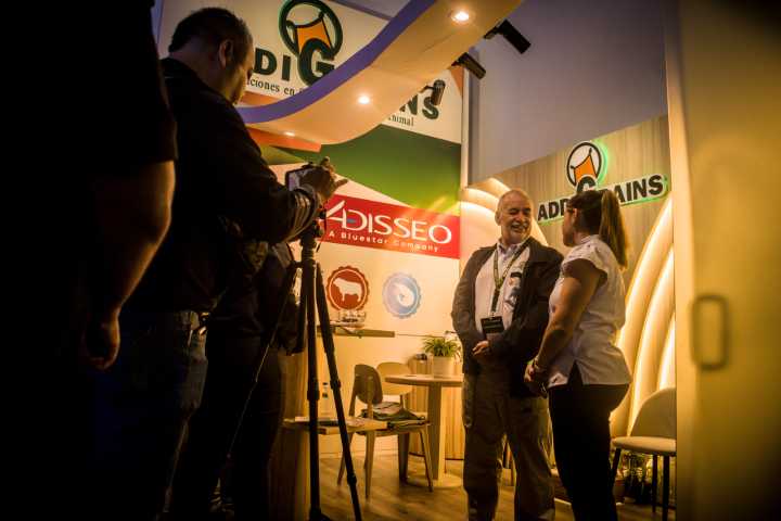 Alimentación animal en Venezuela mejora gracias a premezclas vitamínicas de calidad