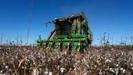 Georgia farmers will get $531M in Hurricane Helene aid, but the deal's not done yet