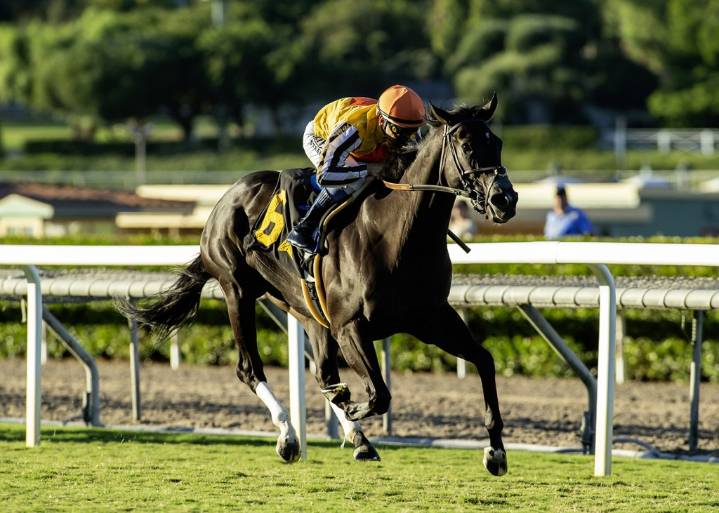 Sumter, Mike Smith make fast work of Santa Anita repeat