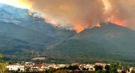 Los incendios son causa de fuerza mayor para poder percibir las ayudas de la PAC