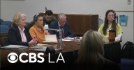 Orange County dog trainer and his girlfriend appear in court for animal cruelty case