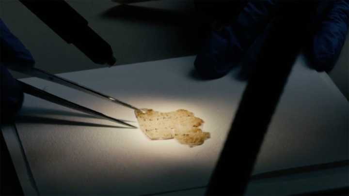 Burned Scroll Brought Back to Life Reveals the Book of Leviticus