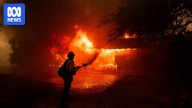 CO2 emissions reached record high in 2024, World Meteorological Organization report finds