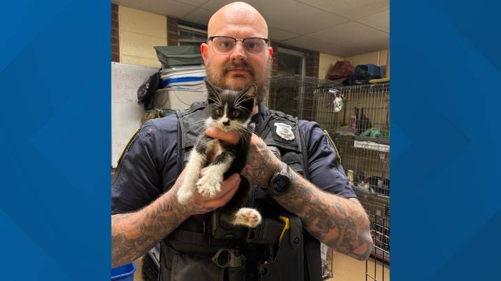 A 'purrfect' rescue: Euclid police officer saves kitten trapped in car engine