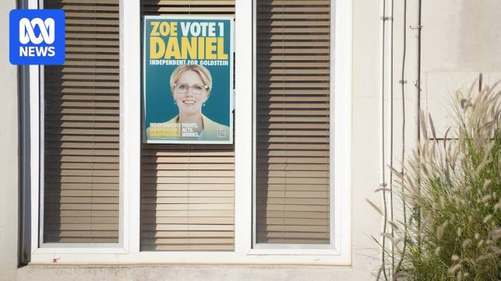 Election campaign donation laws would have blocked $8m in Climate 200 funding