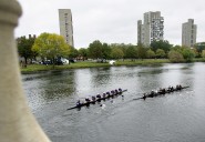 Where to watch Head of the Charles rowing competition in Boston, Cambridge