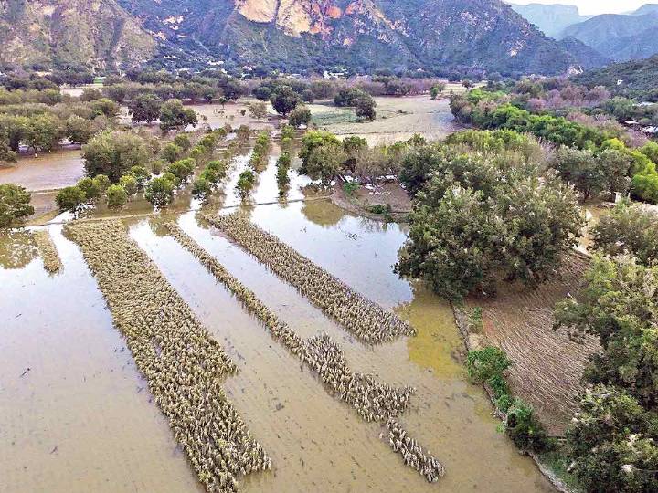 Acusan a Menchaca de desdeñar al campo ante las lluvias; campesinos lanzan reclamos